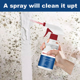Hjemix | Mold Cleaner Foam