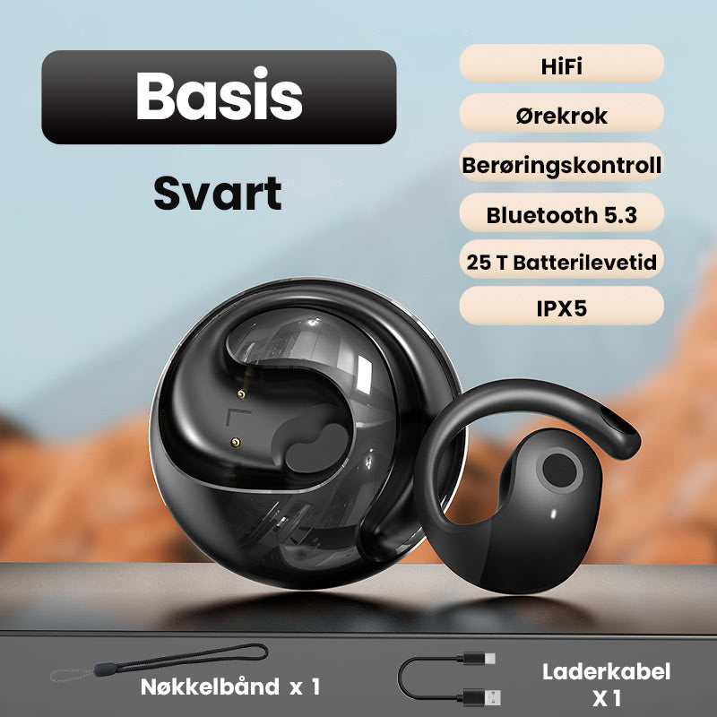 Hjemix | Smarte Trådløse Bluetooth Oversettelses Ørepropper