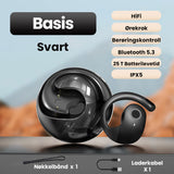 Hjemix | Smarte Trådløse Bluetooth Oversettelses Ørepropper