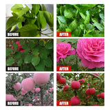 Hjemix | Plante næringsløsning