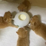 Hjemix | Bittbestandig simuleringsbaby kjæledyrfôrskål