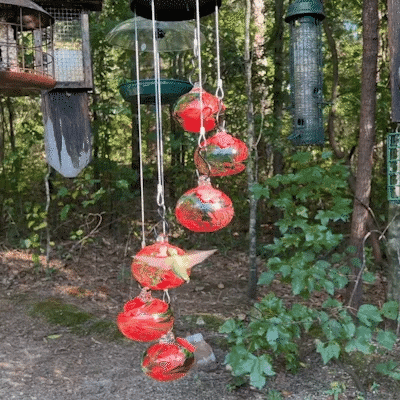 Hjemix | Nye sjarmerende vindklokker kolibri mater hagedekor