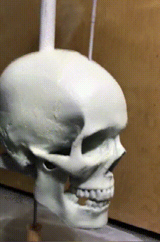 Hjemix | Iron Skull Whirligig - Hagedekor