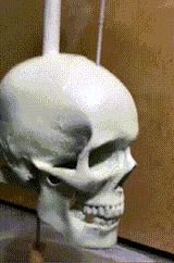 Hjemix | Iron Skull Whirligig - Hagedekor