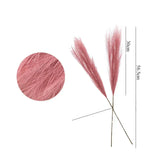 Hjemix | Fluffbloom – Fluffy Pampas Kunstblomster