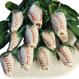 Hjemix | Sport Lærrose