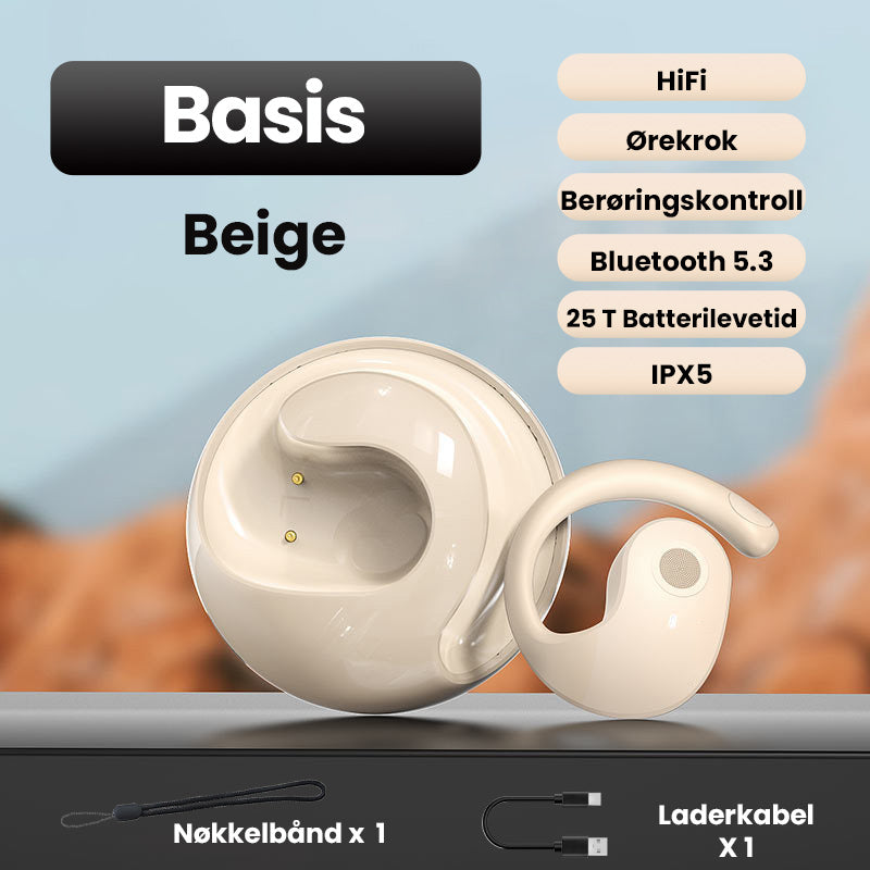 Hjemix | Smarte Trådløse Bluetooth Oversettelses Ørepropper