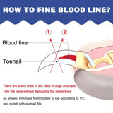 Hjemix | Rustfritt Stål Kjæledyr Negl Klippere med Sikkerhetsbeskyttelse og Gratis Neglefil - Perfekt for Middels og Store Hunder