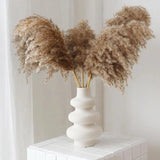Hjemix | 60 cm naturlig, ekte, brunt-beige tørket pampasgress bukett │ fluffy fjær for moderne boho hjemmeinnredning