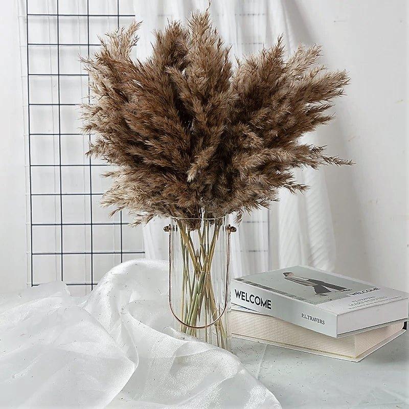 Hjemix | 60 cm naturlig, ekte, brunt-beige tørket pampasgress bukett │ fluffy fjær for moderne boho hjemmeinnredning