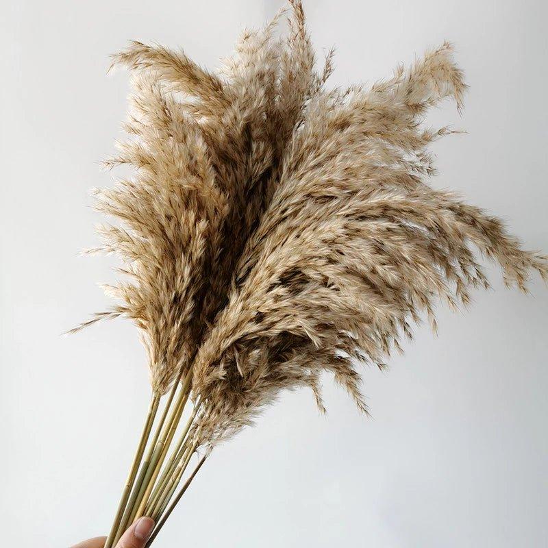 Hjemix | 60 cm naturlig, ekte, brunt-beige tørket pampasgress bukett │ fluffy fjær for moderne boho hjemmeinnredning