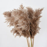 Hjemix | 60 cm naturlig, ekte, brunt-beige tørket pampasgress bukett │ fluffy fjær for moderne boho hjemmeinnredning
