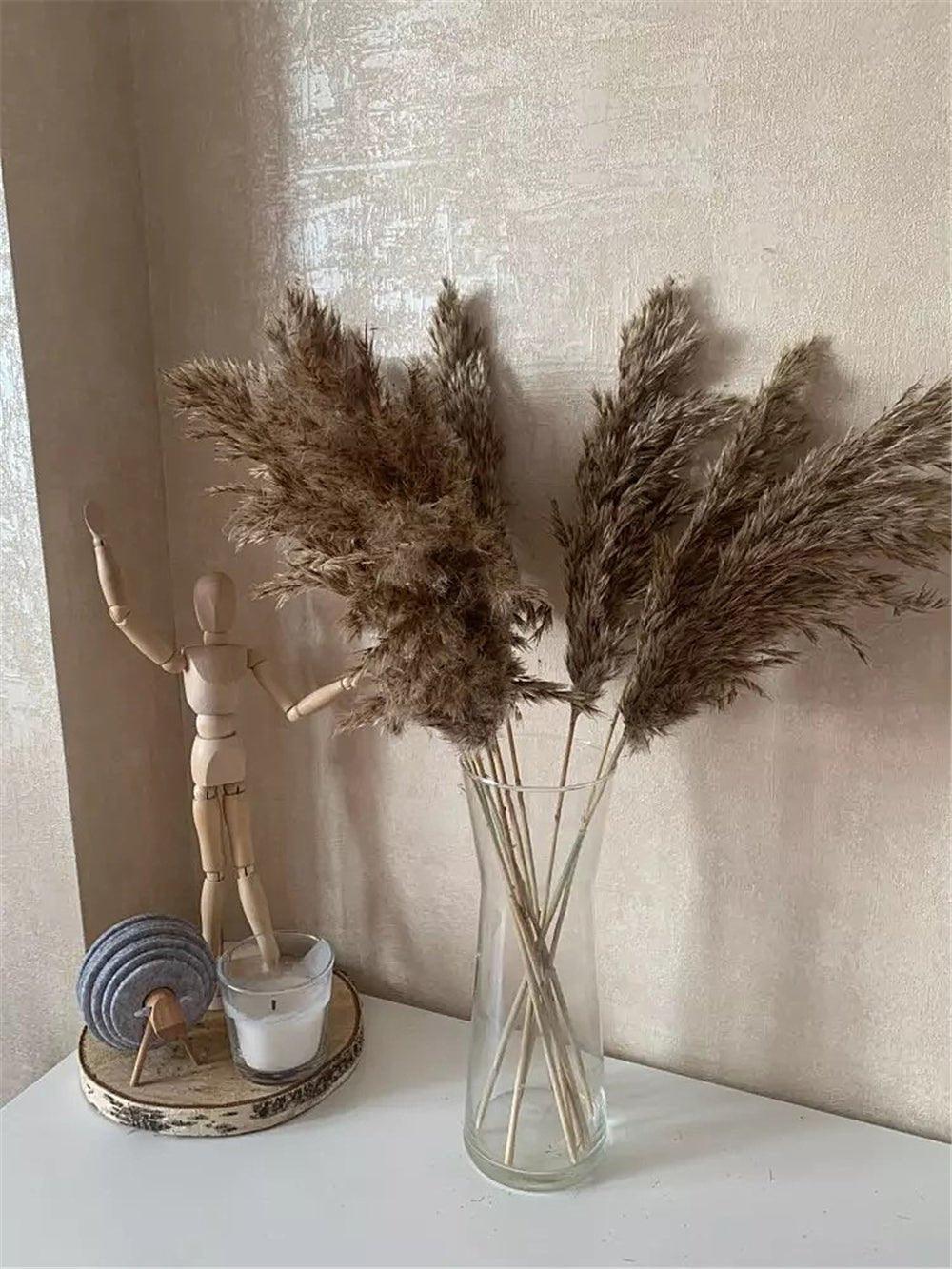 Hjemix | 60 cm naturlig, ekte, brunt-beige tørket pampasgress bukett │ fluffy fjær for moderne boho hjemmeinnredning