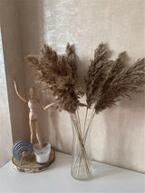 Hjemix | 60 cm naturlig, ekte, brunt-beige tørket pampasgress bukett │ fluffy fjær for moderne boho hjemmeinnredning