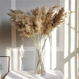 Hjemix | 60 cm naturlig, ekte, brunt-beige tørket pampasgress bukett │ fluffy fjær for moderne boho hjemmeinnredning