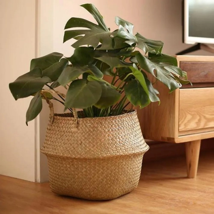 Hjemix | Rattan Planteholder