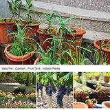 Hjemix | Tåkekjølt Automatisk Vanningsanlegg