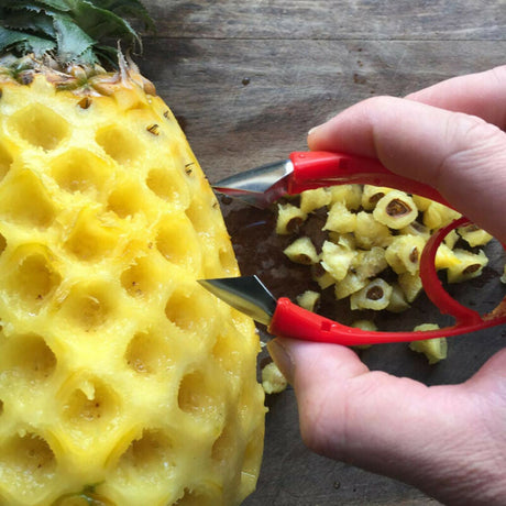 Hjemix | Multi-purpose fruktskaft hullere