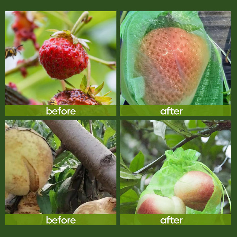 Hjemix | Fruktbeskyttelsespose (100 STK)