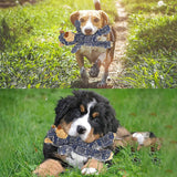 Hjemix | Uknuselig Solid Bjørn