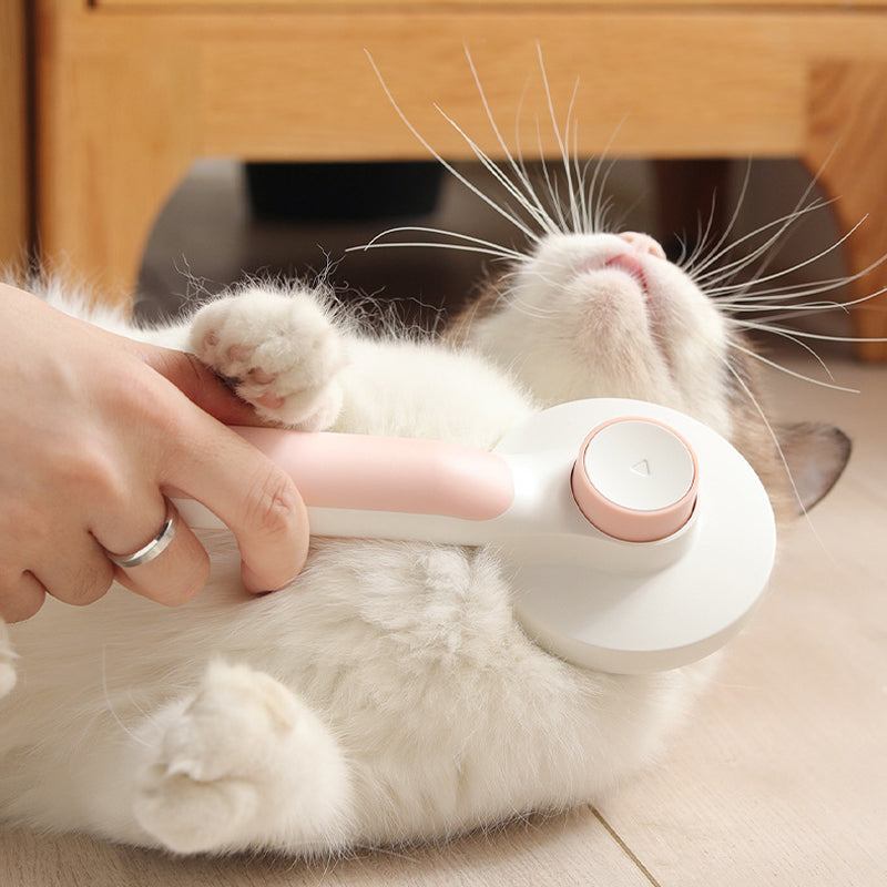 Hjemix | Selvrensende slickerbørster for kjæledyr