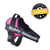 Hjemix | Hunder Sele Australia Med Navn