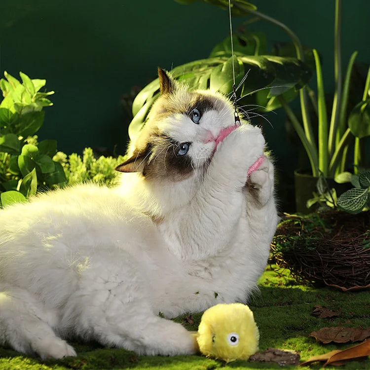 Hjemix | – smarter interaktiv plysboll for katter | kjøp 1, få 1 gratis 🎁