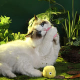 Hjemix | – smarter interaktiv plysboll for katter | kjøp 1, få 1 gratis 🎁