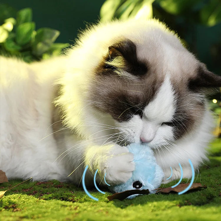 Hjemix | – smarter interaktiv plysboll for katter | kjøp 1, få 1 gratis 🎁