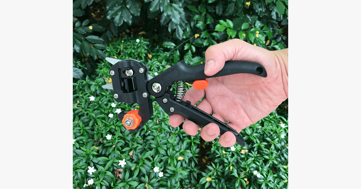 Hjemix | Nifty Gardener's Graft – Forbedre dine hageferdigheter!