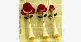 Hjemix | Rose Beauty Flawless Face Oval Brush Set