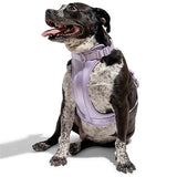 Hjemix | Adjustable Dog Vest Harness with 3 Leash Clips
