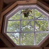 Hjemix | 💐Liljekonvall solfanger