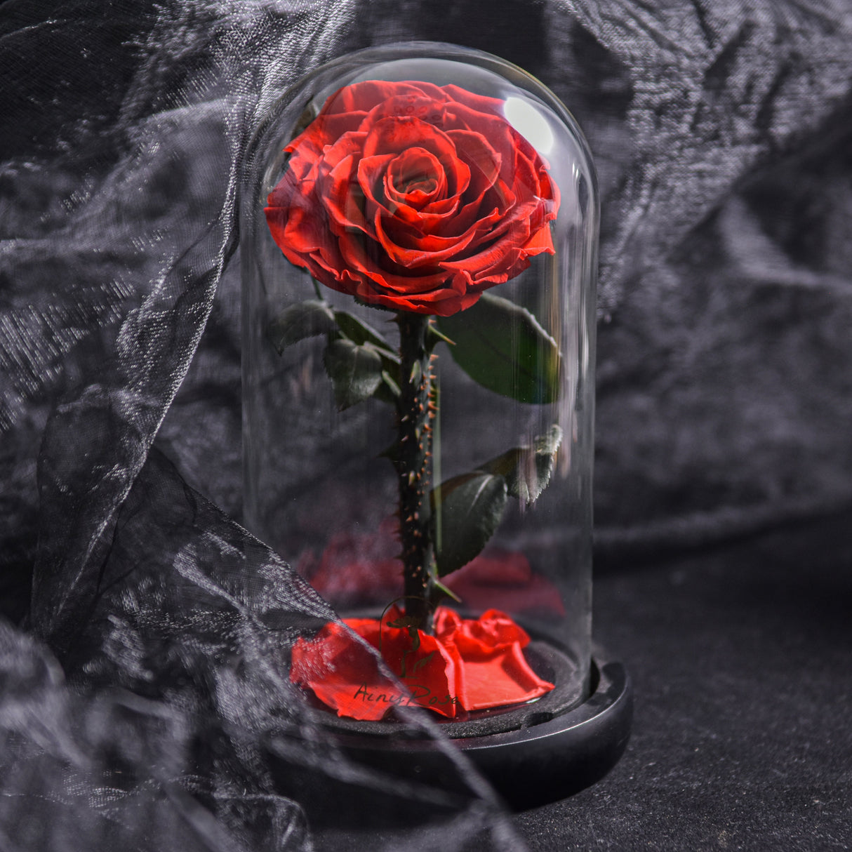 Hjemix | Forever Rose, Evig Rose i Glasskuppel, 3 Dagers Leveringstid, Blå