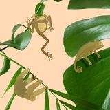 Hjemix | Plant Dyr Dekorasjoner