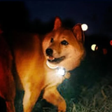 Hjemix | Bærbar Magnetlampe