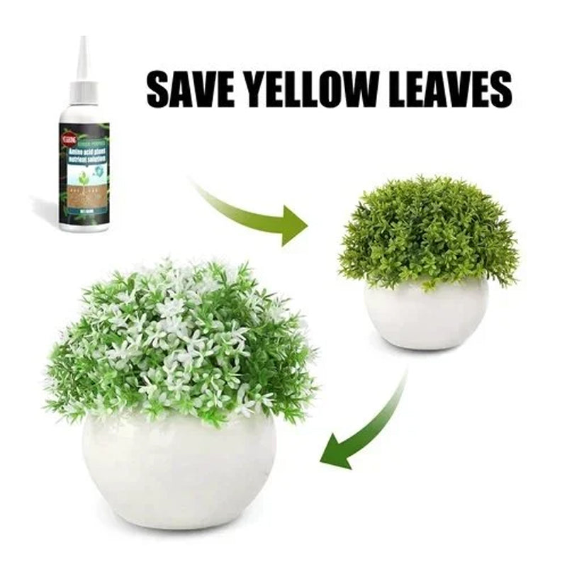 Hjemix | Plante næringsløsning