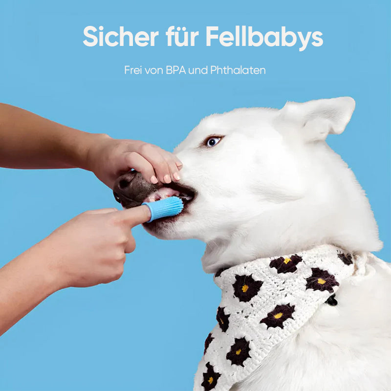 Hjemix | Finger tenner for kjæledyr