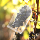 Hjemix | Nylon Fruktsorteringsposer (100 stk)