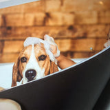 Hjemix | Magtech Magnetisk Lomme Bilde Ramme (12 stk)