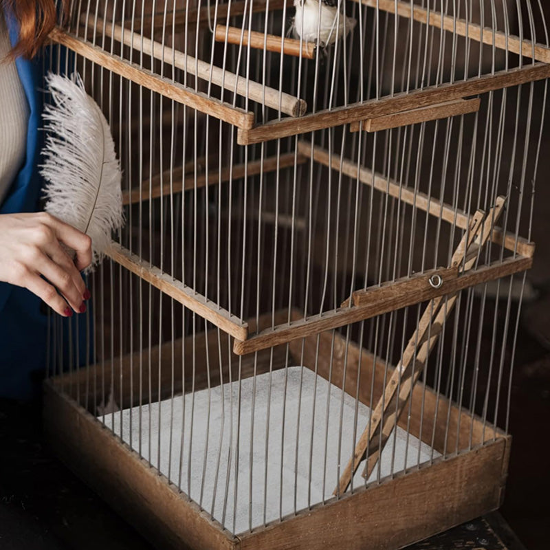 Hjemix | Pet Absorbent Paper (50 stykker)