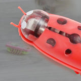 Hjemix | Pet Electric Insect Toy