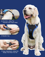 Hjemix | mamymarket™ - Hundesele og sammenleggbar båndsett Alt-i-ett