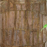 Hjemix | Lucky Brazil Wood Potted Plant