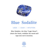 Hjemix | Frendorf 2.5 Tommers Krystall Dinosaur Hjemmedekorasjon Edelsteinsdekor