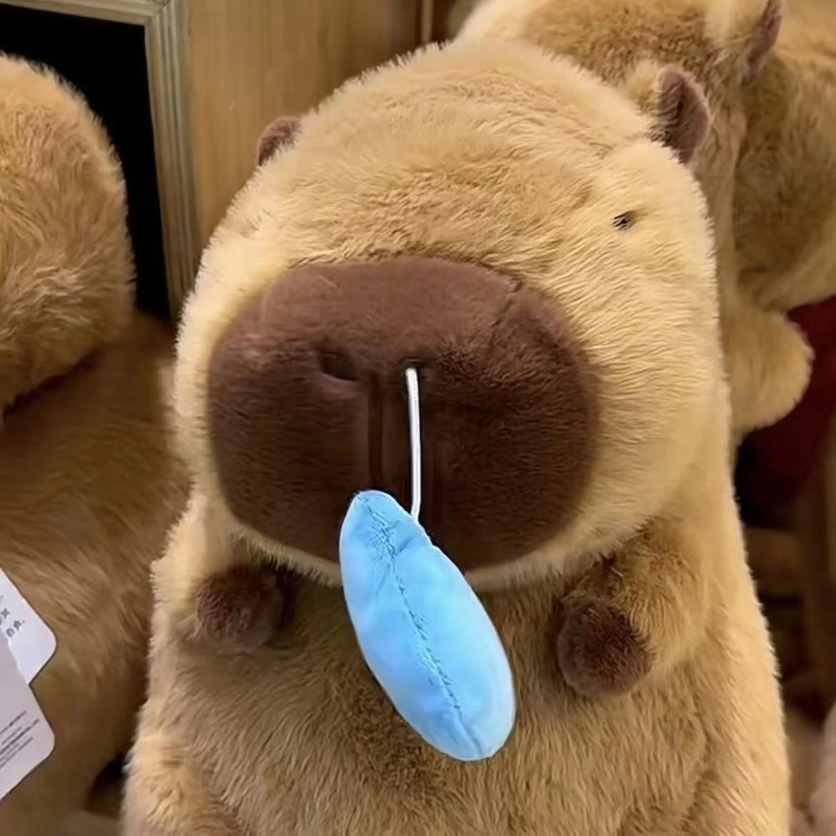 Hjemix | Capybara Snot Plush