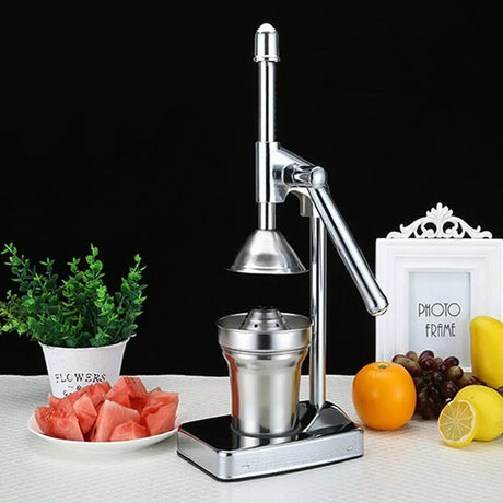Hjemix | Rustfritt Stål Fruktjuicer