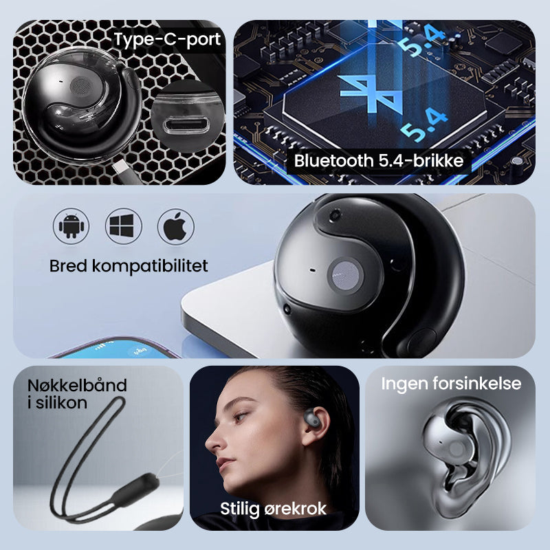 Hjemix | Smarte Trådløse Bluetooth Oversettelses Ørepropper