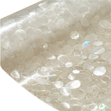 Hjemix | Rainbow Window Privacy Film