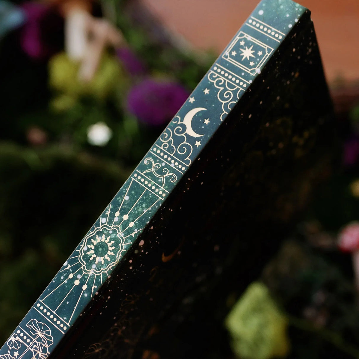 Hjemix | Wonderland Journal